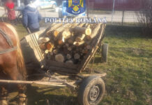 CERCETAŢI PENTRU INFRACŢIUNI SILVICE