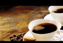 INFRASTRUCTURA RUTIERĂ A OLTULUI ÎN 2024