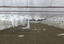 DOUĂ SOLARII DISTRUSE DE VÂNT, LA PLEȘOIU