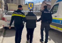 REŢINUT DE POLIŢIŞTI PENTRU TĂIERE ŞI FURT DE ARBORI