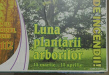 MARTIE – LUNA ÎMPĂDURIRII