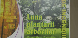 MARTIE – LUNA ÎMPĂDURIRII