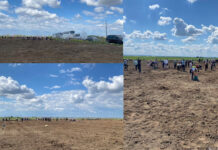 Giuvărăști: Au plantat o nouă pădure într-o zi