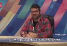 GRIPA AVIARĂ ŞI PESTA PORCINĂ, REAPAR