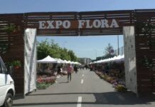 EXPO FLORA, MAGIE ȘI CULOARE LA SLATINA