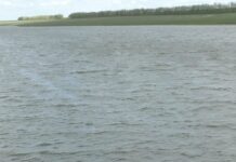 ZONĂ DE AGREMENT, ÎN BRASTAVĂȚU