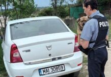 SANCŢIONAT DE POLIŢIŞTII BIROULUI PENTRU PROTECŢIA ANIMALELOR