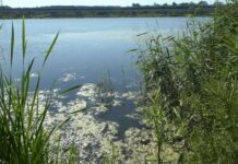 LIBER LA PESCUIT ȘI PE BALTA DE LA STAȚIA DE EPURARE