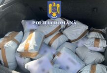 44 KG TUTUN MĂRUNŢIT IDENTIFICAT DE POLIŢIŞTI ÎN MAŞINA UNEI FEMEI