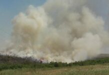 INCENDIILE AU DISTRUS HECTARE ÎNTREGI DE VEGETAŢIE ŞI CULTURI