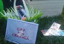 LECTURĂ LA FIRUL IERBII, ÎN PARC