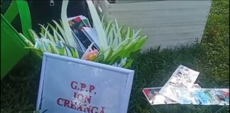 LECTURĂ LA FIRUL IERBII, ÎN PARC