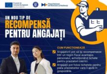 Avantaje pentru angajatorii care oferă salariaților tichete de activități casnice. MMSS a publicat modelul de contract