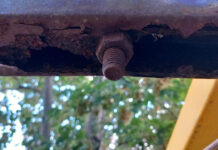 Comandamentul Litoral al ANPC a verificat, într-o singură lună, peste 800 de operatori economici