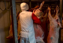 BARBU: 41 DE PROIECTE AU FOST DECLARATE ELIGIBILE PRIN INVESTALIM