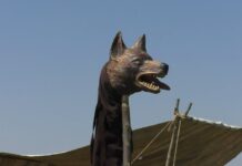 DACII ȘI ROMANII REVIN ÎN OLT