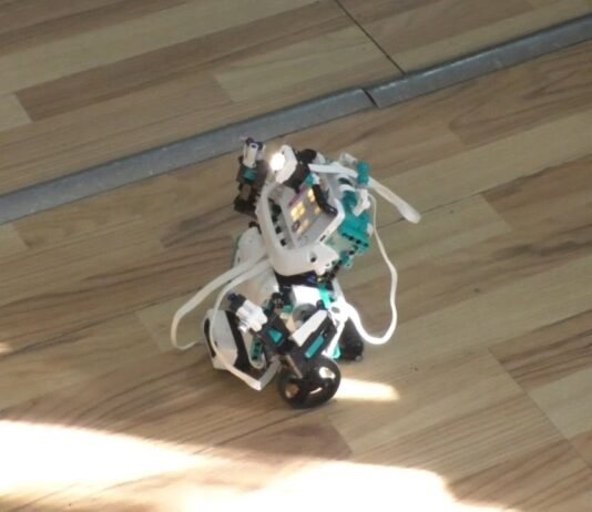 DE LA LEGO LA ROBOTICĂ, ÎN JOACĂ