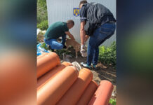 BĂRBAT CERCETAT PENTRU SCHINGIUIREA ANIMALELOR