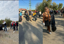 Marea curățenie la nivel județean