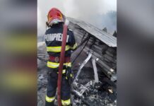 INCENDIU ÎN LOCALITATEA DĂNEASA