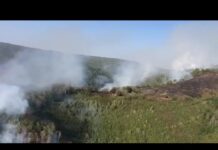 15 pompieri olteni acționează pentru stingerea incendiilor produse în județul Mehedinți