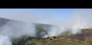 15 pompieri olteni acționează pentru stingerea incendiilor produse în județul Mehedinți