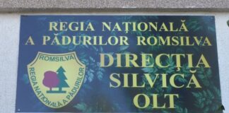 UNICA PEPINIERĂ DIN OLT, DEZVOLTATĂ PRIN PNRR