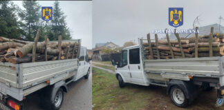 PERSOANE CERCETATE PENTRU TĂIERE ȘI FURT DE ARBORI