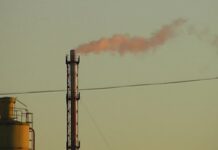 ŞTIRBU SOLICITĂ REINTRODUCEREA PENSIONĂRII ANTICIPATE CU 2 ANI