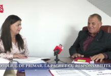 FOTOLIUL DE PRIMAR, LA PACHET CU RESPONSABILITĂŢI