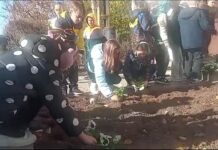 GRĂDINARI PENTRU O ZI, LA DUS