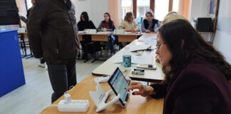 Olt: Călin Georgescu, câștigător în 5 localități, Elena Lasconi în Izbiceni