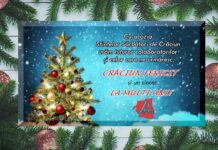 URARI SĂRBĂTORI DE IARNĂ 2024 – 2025