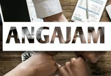 Societate de evidenta contabila din Slatina, judetul Olt angajeaza economist