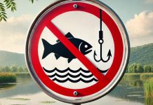 Ordinul privind perioadele si zonele de prohibitie a pescuitului pentru 2025 a fost publicat in Monitorul Oficial