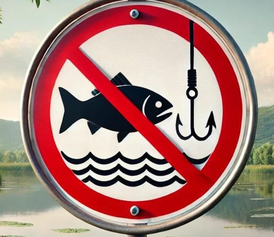 Ordinul privind perioadele si zonele de prohibitie a pescuitului pentru 2025 a fost publicat in Monitorul Oficial