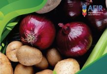 Sprijin pentru investiții în sectorul legume și cartofi!