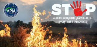 Este interzisă arderea miriştilor şi a vegetaţiei pajiştilor permanente