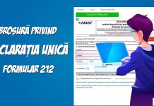 Broșura privind Declarația unică 2025