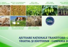 APIA a demarat autorizarea la plată a ANT-urilor aferente anului de cerere 2024