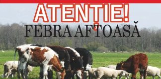 CONFIRMAREA UNUI FOCAR DE FEBRĂ AFTOASĂ PE TERITORIUL UNGARIEI