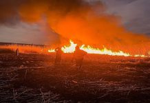 Amenda penala sau inchisoare pana la 1 an, pentru incendierea miristilor