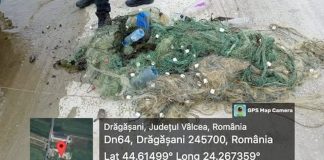 GNM Olt – Controale privind combaterea braconajului