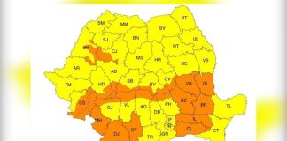 COD PORTOCALIU DE VANT IN OLT