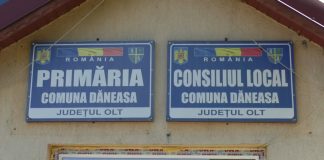 REALIZĂRI ÎN COMUNA DĂNEASA