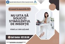 Stimulent de inserție – Ce trebuie să știi
