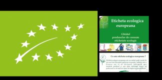 Eticheta ecologică europeană – pentru ce produse se solicita