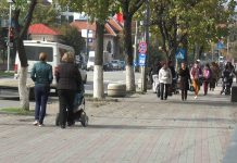 ACTIVITATEA AJPIS OLT ÎN 2024