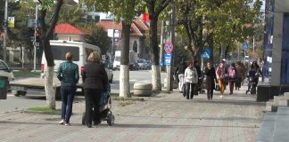 ACTIVITATEA AJPIS OLT ÎN 2024