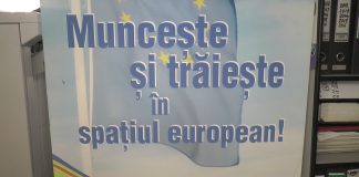 LOCURI DE MUNCĂ VACANTE ÎN SPAȚIUL ECONOMIC EUROPEAN